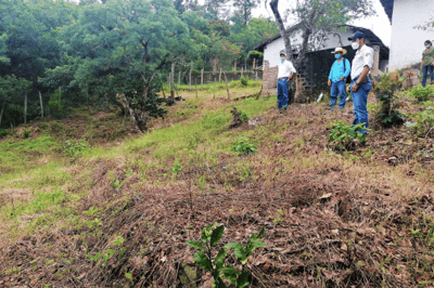 BLÅSTEMPLING AF OMRÅDE